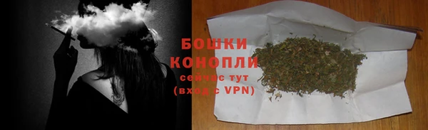 бошки Алексин