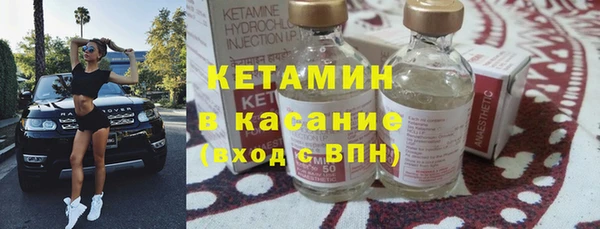прущие грибы Абаза