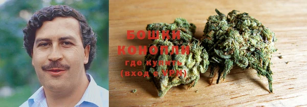 бошки Алексин