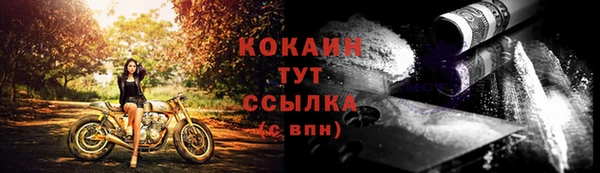 скорость Алзамай